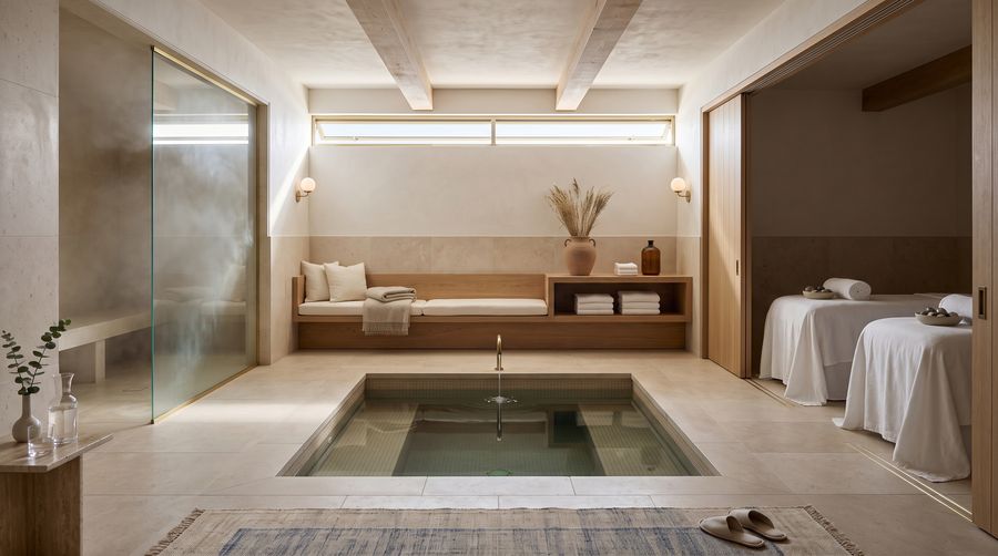 Wellness — conceptual rendering